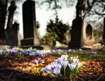 Lavori parcheggio cimitero di Celeseo